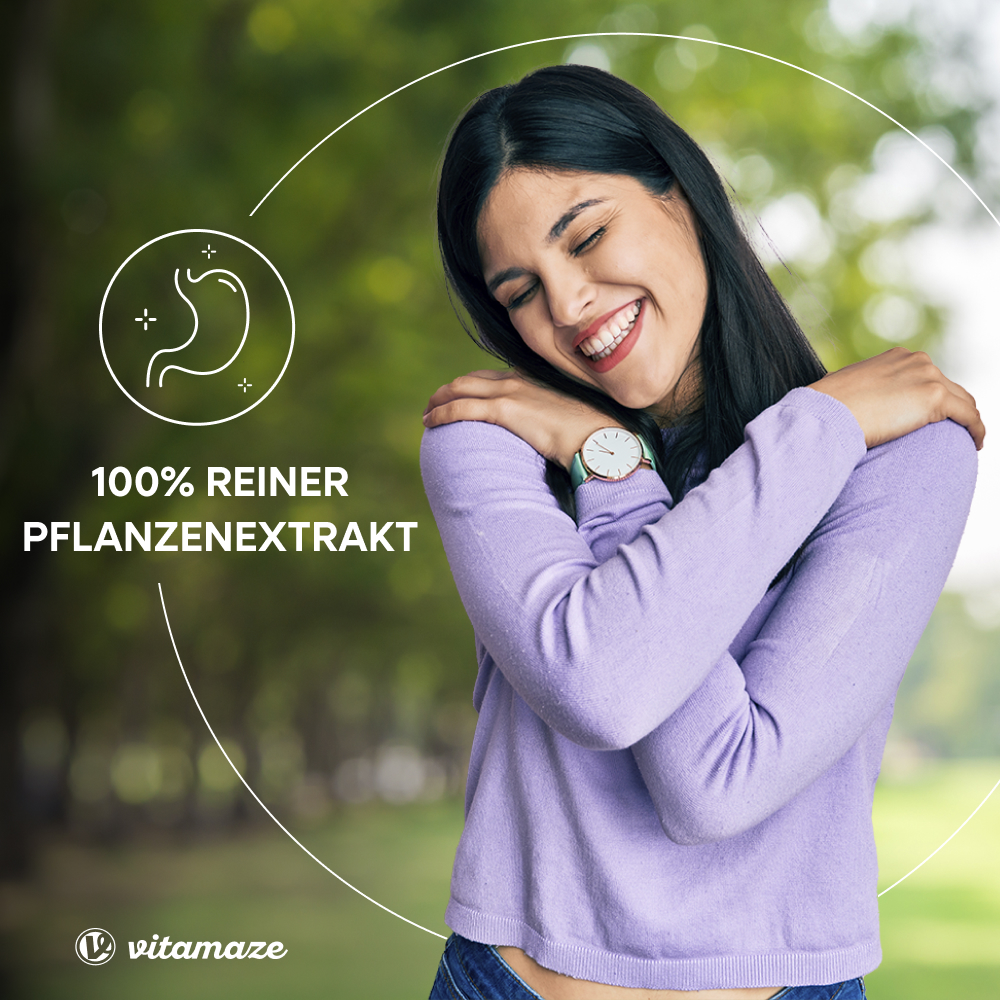 Mariendistel Extrakt 500 mg hochdosiert (90 St. )