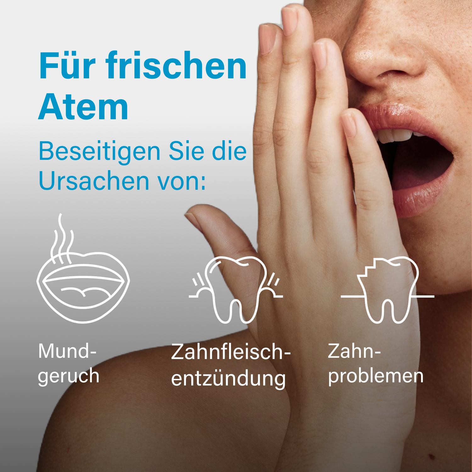 Nupure probadent (90 St)