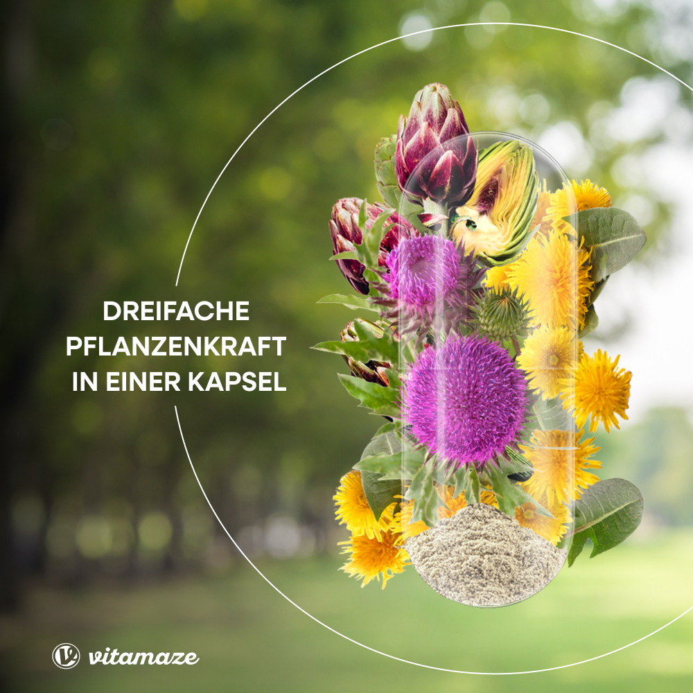 Mariendistel Komplex + Artischocke + Löwenzahn hochdosiert (90 St)