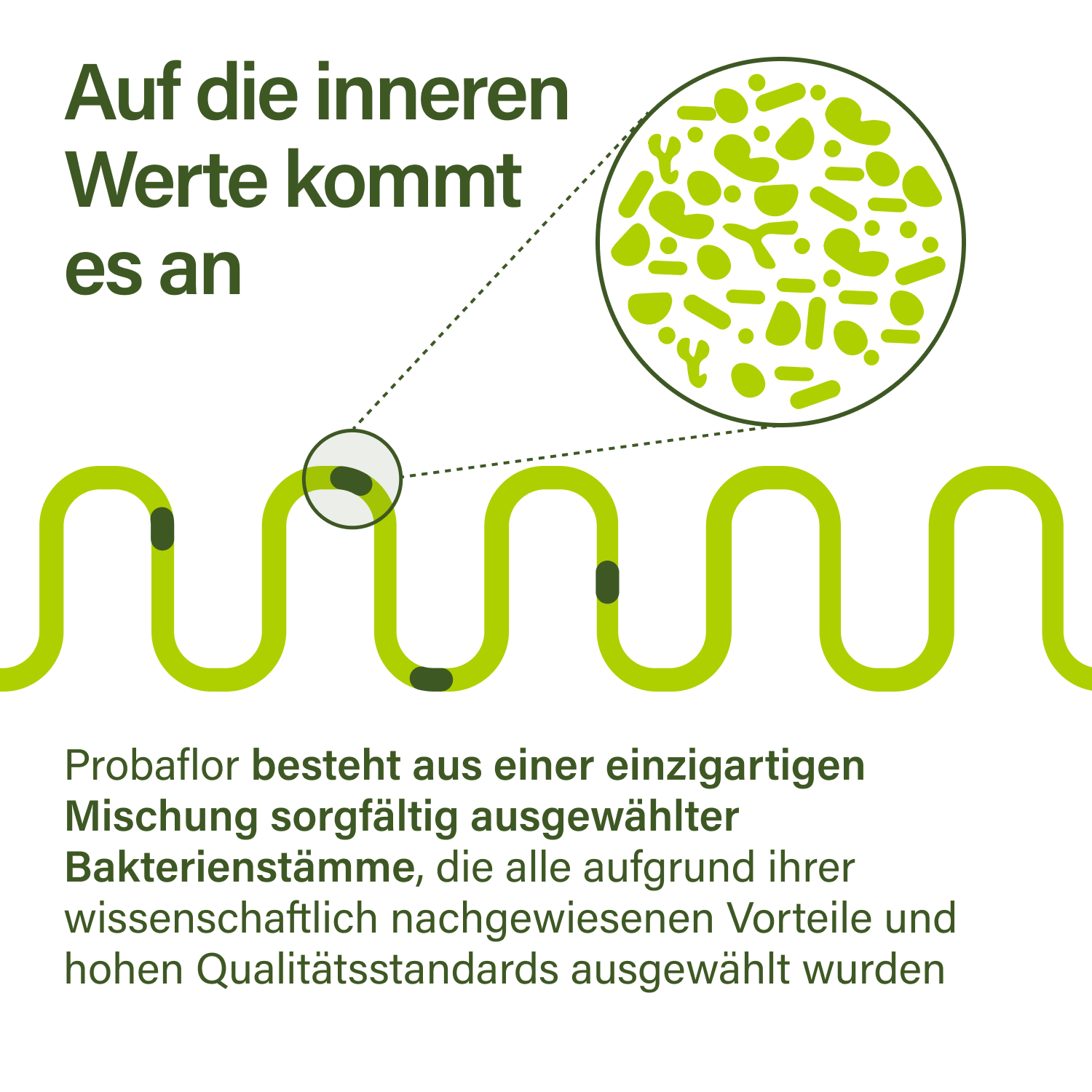 Nupure probaflor (30 St)