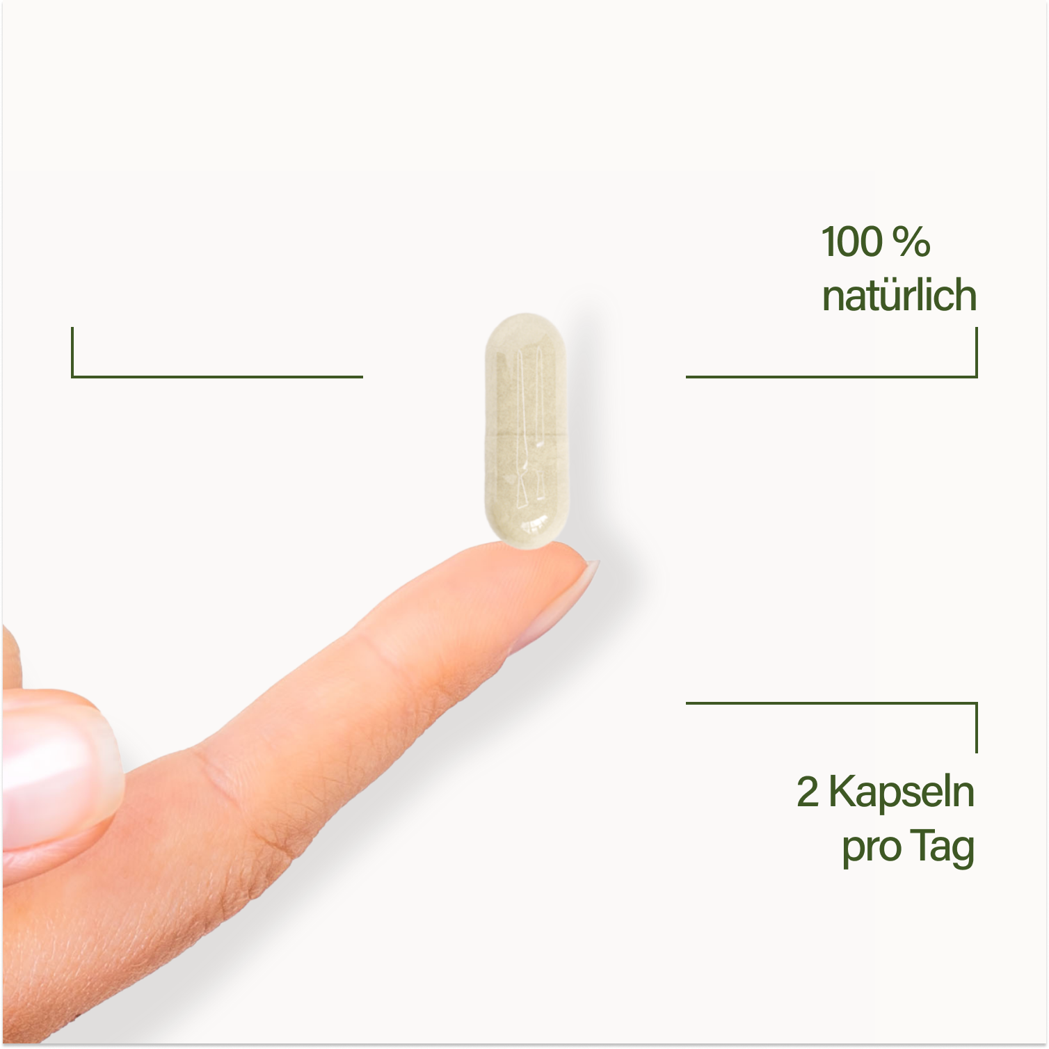 Nupure Probaflor MAX SPEKTRUM N95 (80 St)