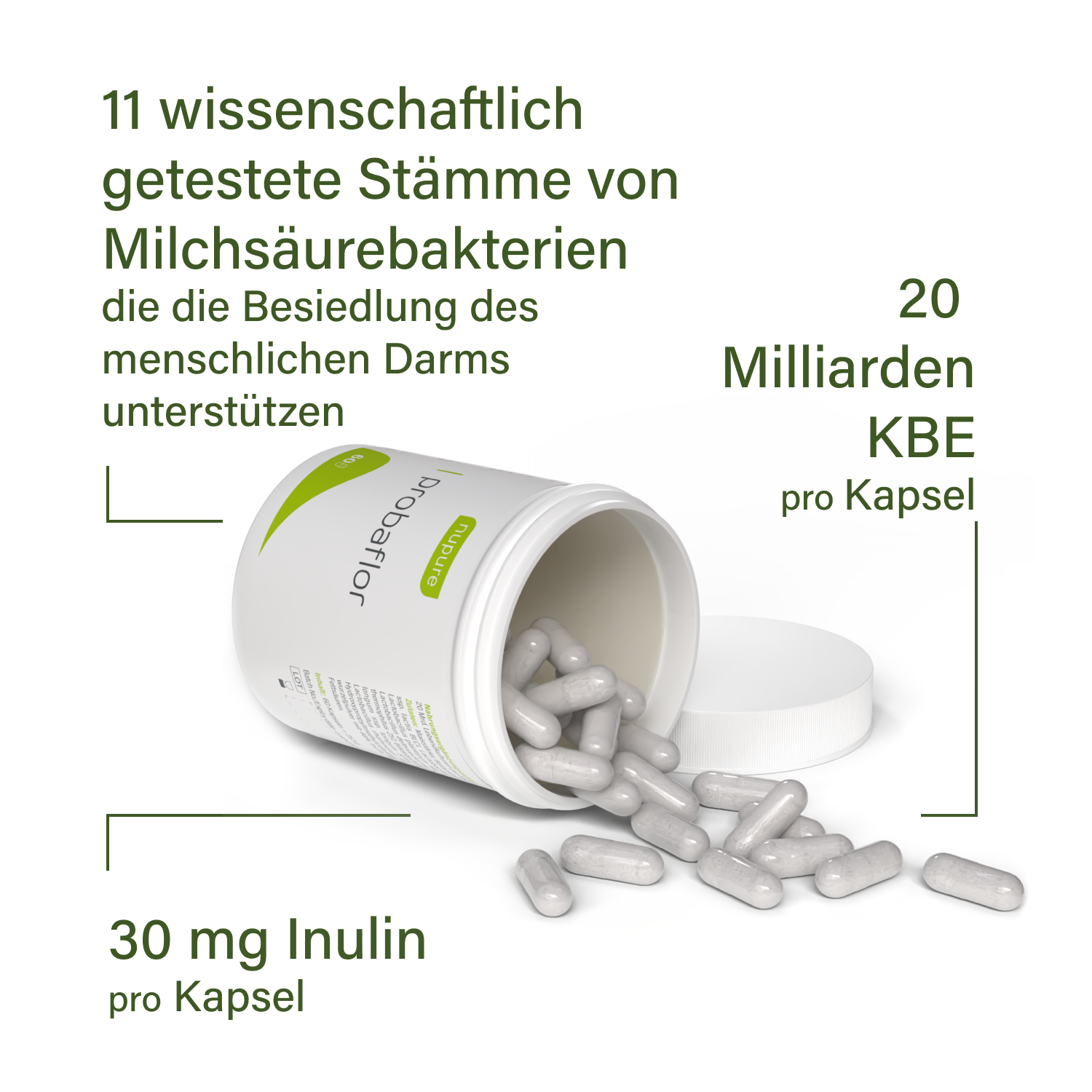 Nupure probaflor (60 St)