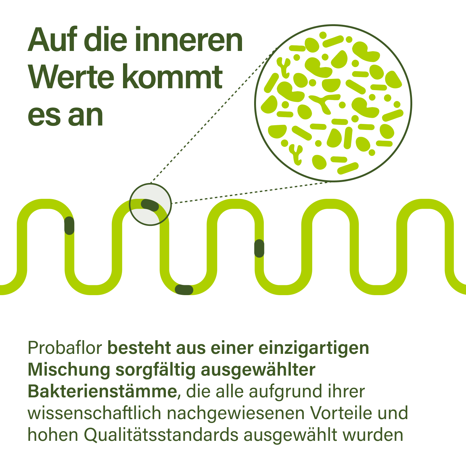 Nupure probaflor (90 St)